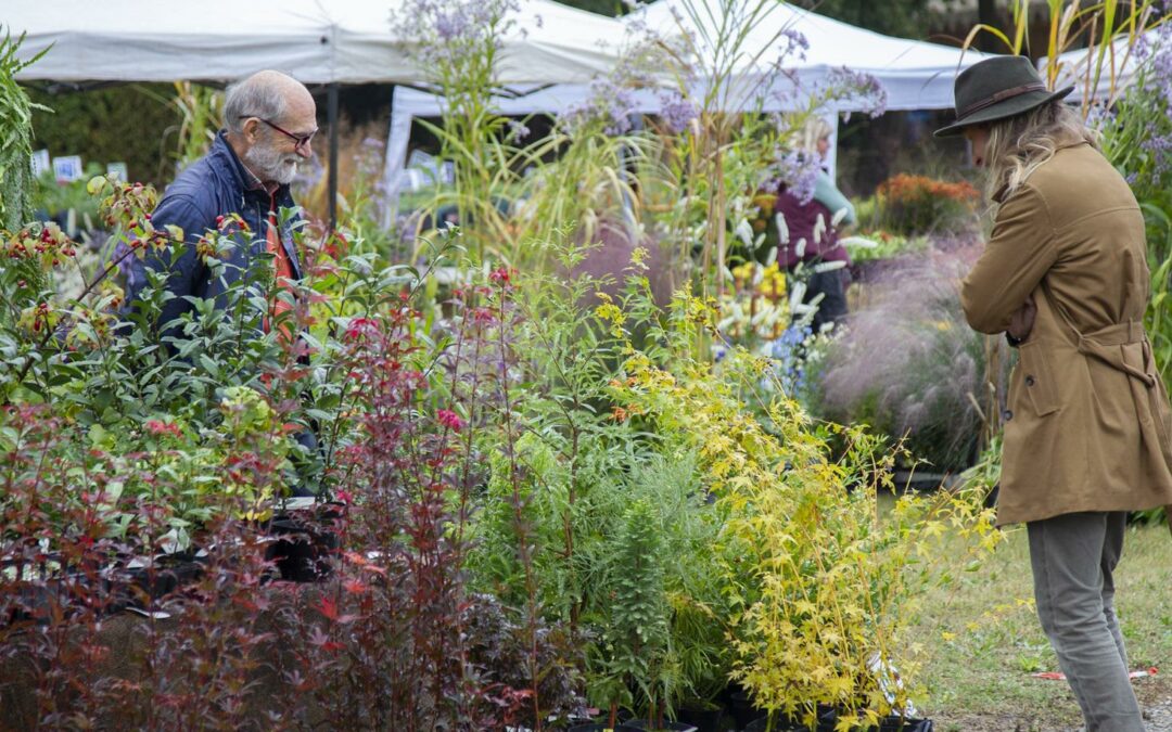 TRE GIORNI PER IL GIARDINO – Fiori, piante e idee per il giardino, l’orto e il frutteto